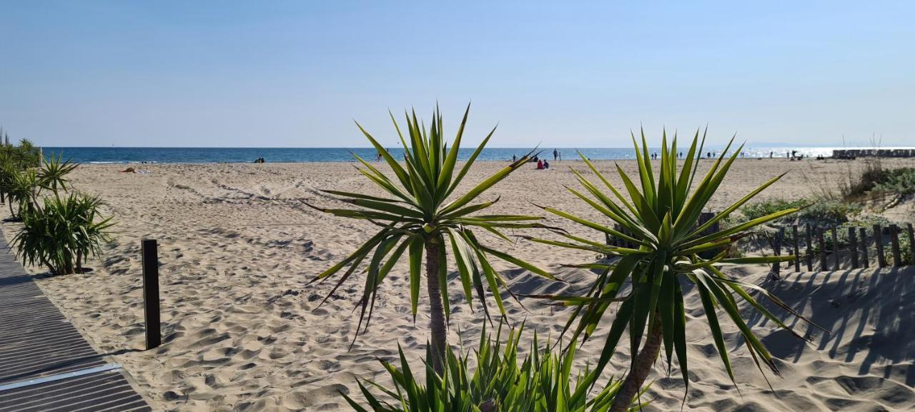 Joli T2 Avec Jardin Plage Richelieu - 6 Personnes Agde Zewnętrze zdjęcie